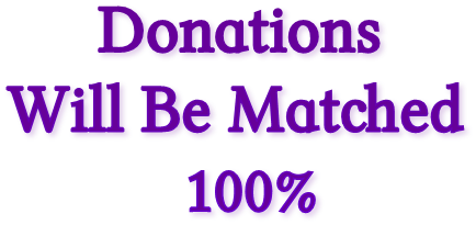 Donations
Will Be Matched
100% Donations
Will Be Matched
100%
